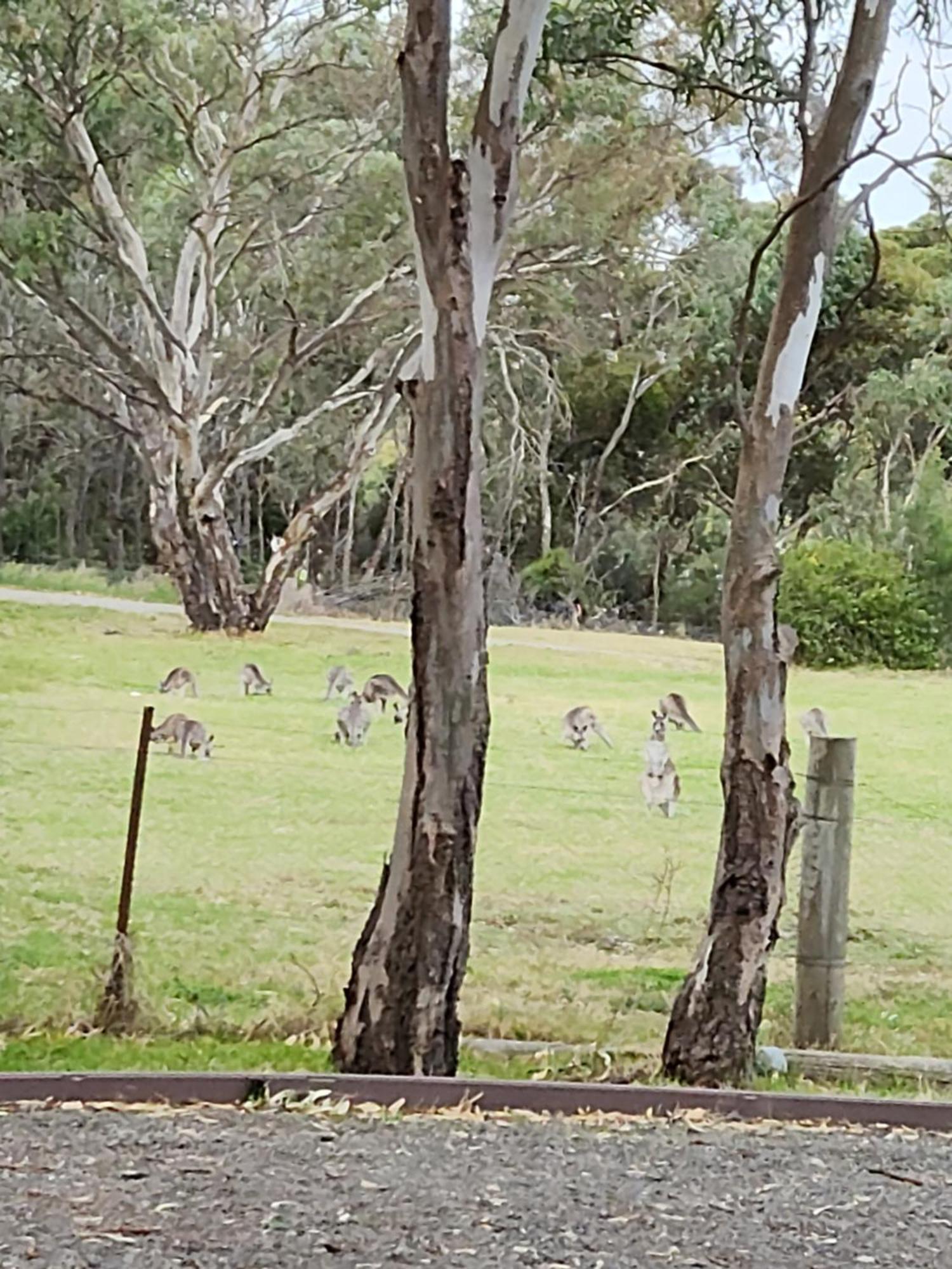 Green Heavan Hotel Greenvale Exterior foto